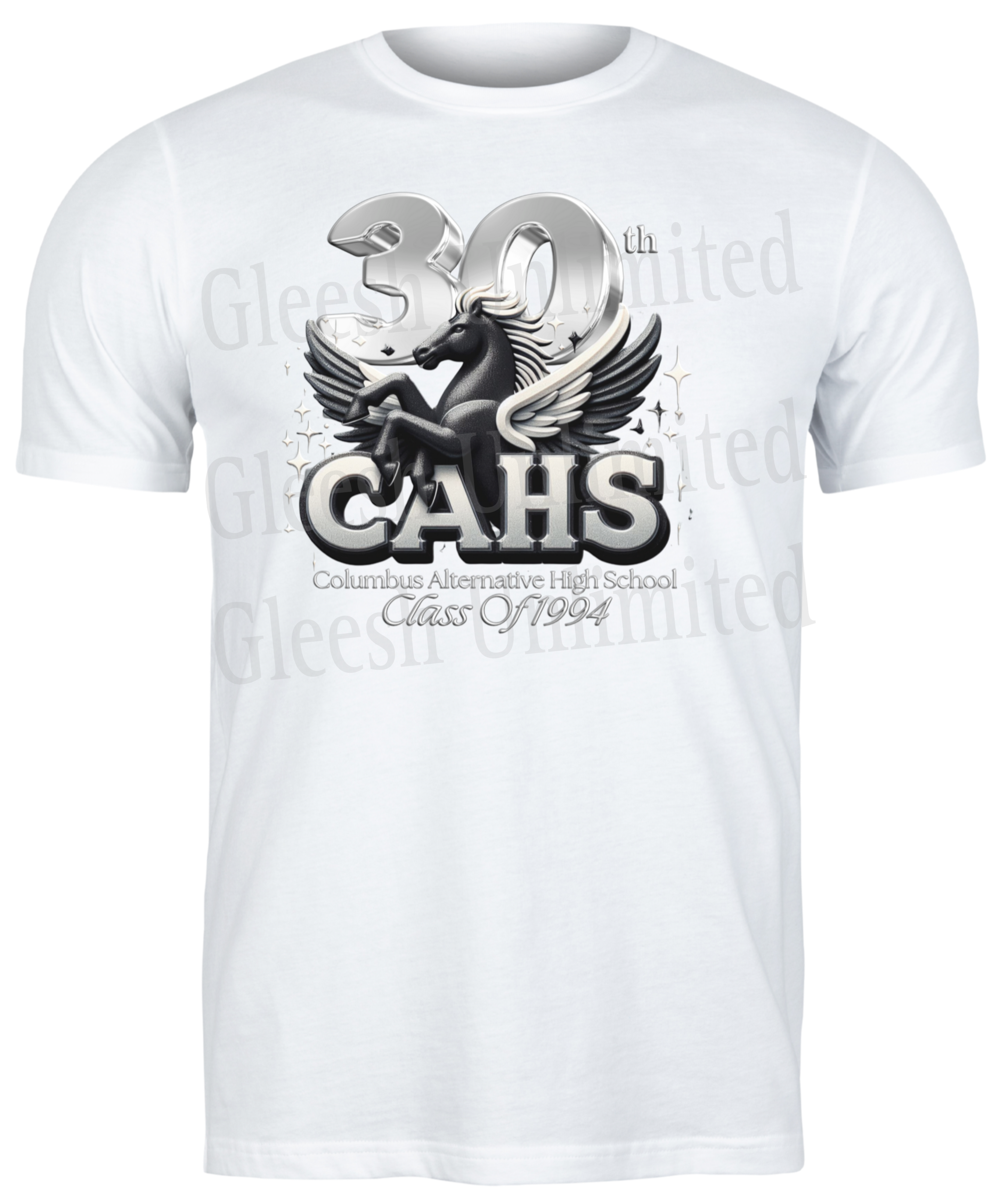CAHS Class of 1994, 30 Year Columbus Alternative High School
